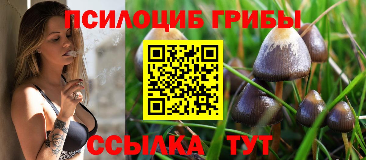 Петропавловск-Камчатский  Галлюциногенные грибы ЛСД  Вход с VPN 